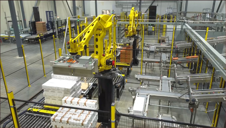 Alba Manufacturing - Ice Cream Palletizing System