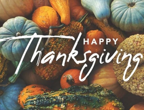 Happy Thanksgiving from the Alba Team!